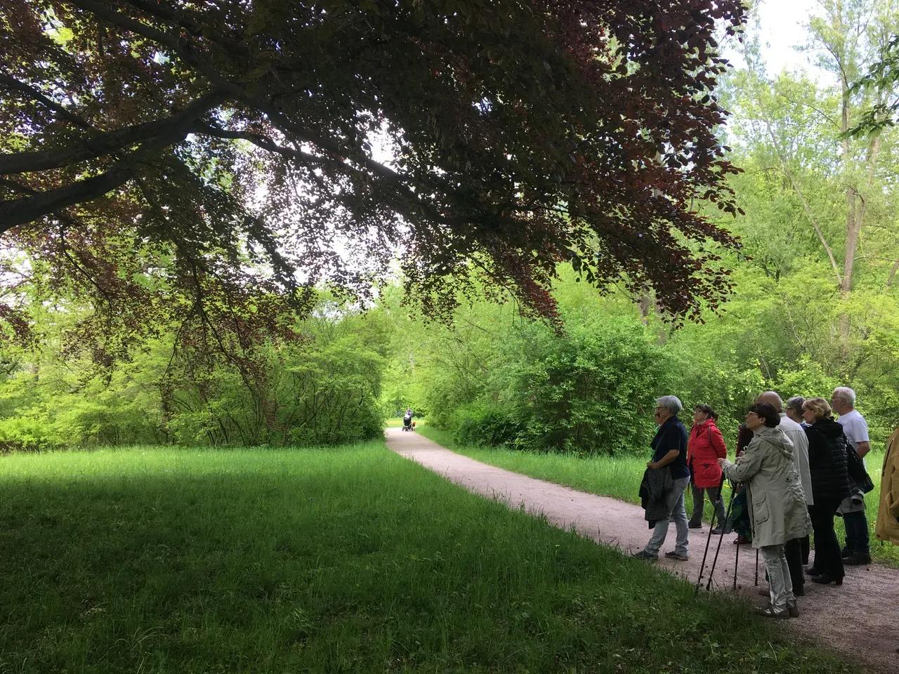 Parkführung