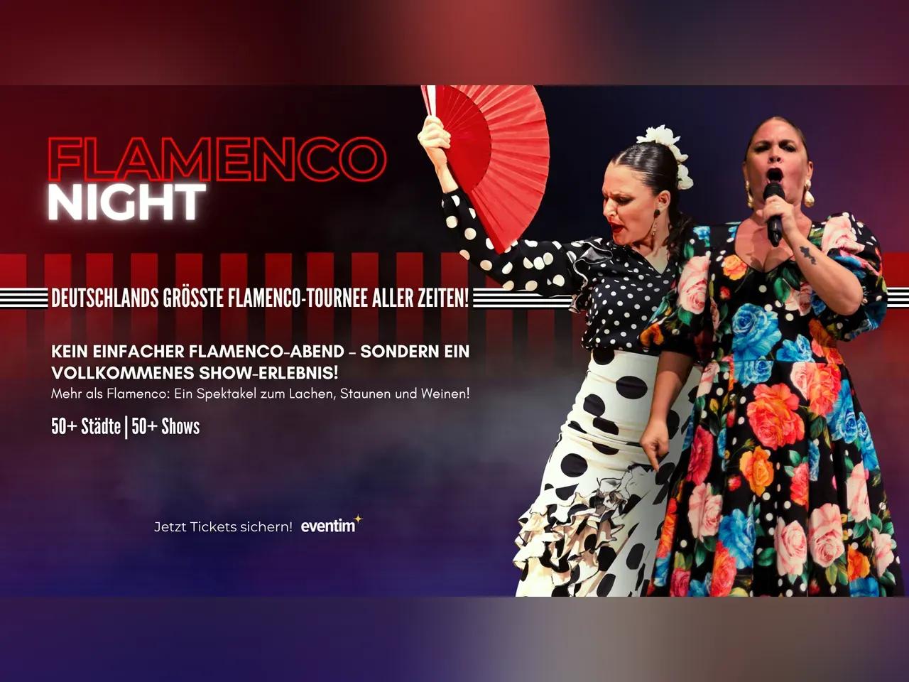 Flamenco Night