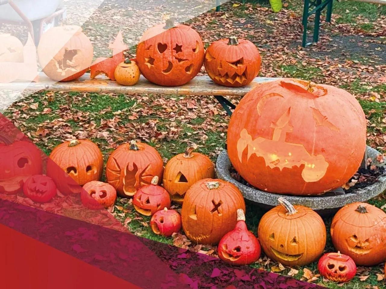 Herbstliche Kürbiszeit