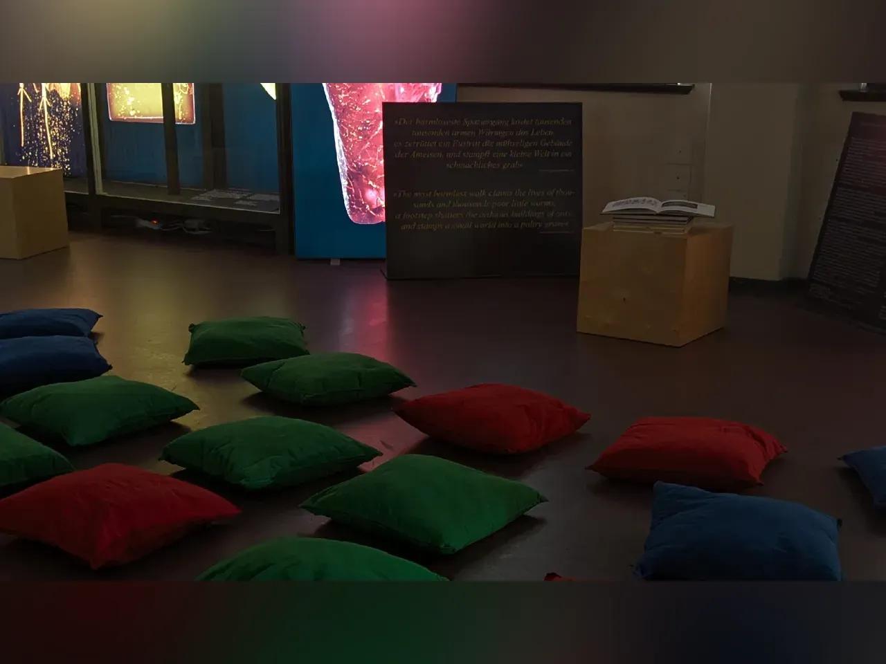 Sitzkissen liegen im Medusensaal des Phyletischen Museums Jena